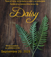 DaisyXV